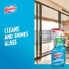 Windex Glass and Window Cleaner Spray Bottle, Packaging Designed to