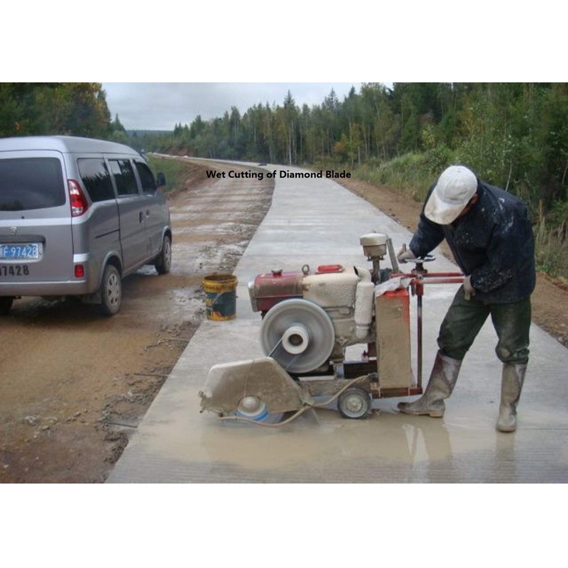 BlueNatHxRPR 10-Inch/250mm Diamond Blade Segmented Diamond Saw Blade for Masonry