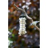 Bird nesting material - 100% pure natural British wool. Soft,
