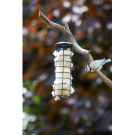 Bird nesting material - 100% pure natural British wool. Soft, warm and eco-friendly - made only from high-welfare sheep wool ethically farmed in Orkney.
