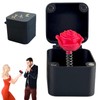Valentine's Day Gifts for Couples，Funny Gifts, Gag Gifts, Red Rose