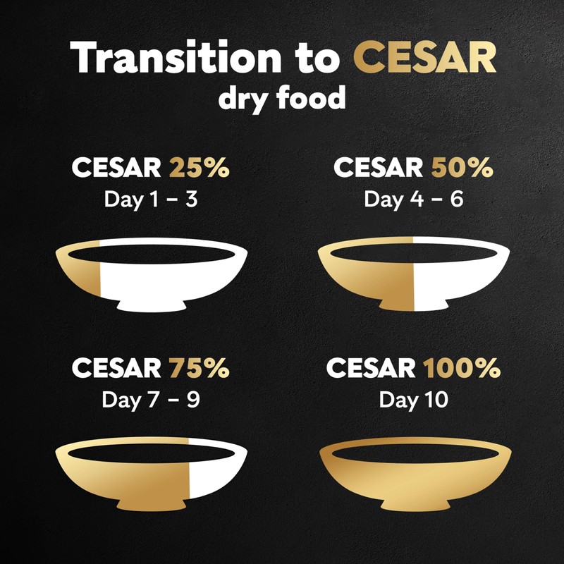 Cesar Small Breed Dry Dog Food Filet Mignon Flavor and