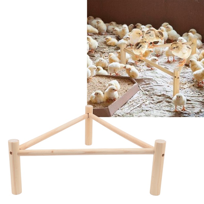Chicken Perch Stable Triangular Wooden Chick Training Perch Toy Interactive