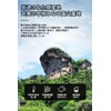 Fumyeongyuan Dahao Deep Flavor, Brown and Glossy, Thick and Full,