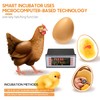 Egg Incubator Controller Thermostat with Temperature Humidity Sensor Probe Temperature