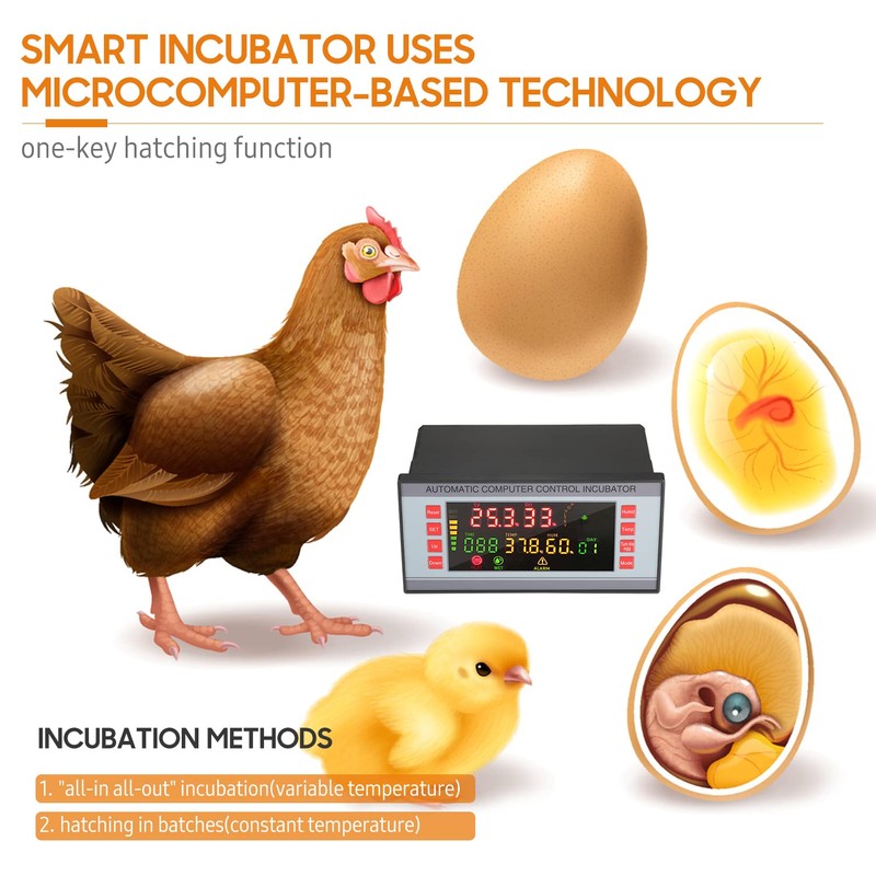 Egg Incubator Controller Thermostat with Temperature Humidity Sensor Probe Temperature