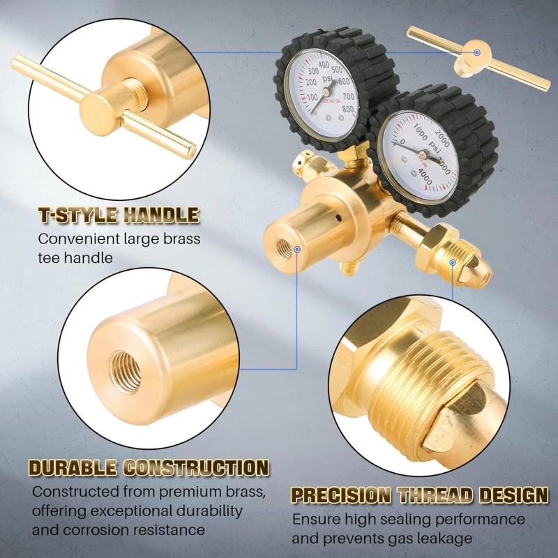 Unbranded Professional Nitrogen Regulator w/ Hose 0-800 PSI Output Pressure