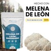 NAIMA Hongo Melena de León en Polvo, 100 g |