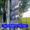 Squirrel Baffle Spikes, Squirrel Deterrent Bird Spikes Effectively Avoid Squirrels,