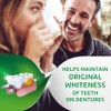 Polident Smokers Antibacterial Denture Cleanser Effervescent Tablets, 120 count