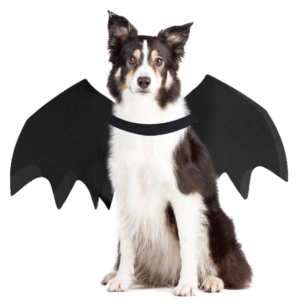 Gustach Bat Wings for Dogs, Dog Bat Costume, Dog Bat