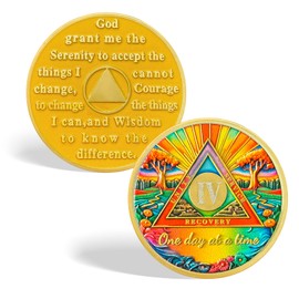 CHURYUML 4 Year Sobriety Coin - One Day at a Time Sober Chip, Four Year AA Coins with Serenity Prayer Recovery Medallions Sobriety Gifts for Women Men Alcoholics Anonymous Addiction Recovery Gift