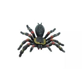 Unbranded Spider, Red Knee Tarantula,  Realistic Toy Figure, Model,  5" CH193 BB116