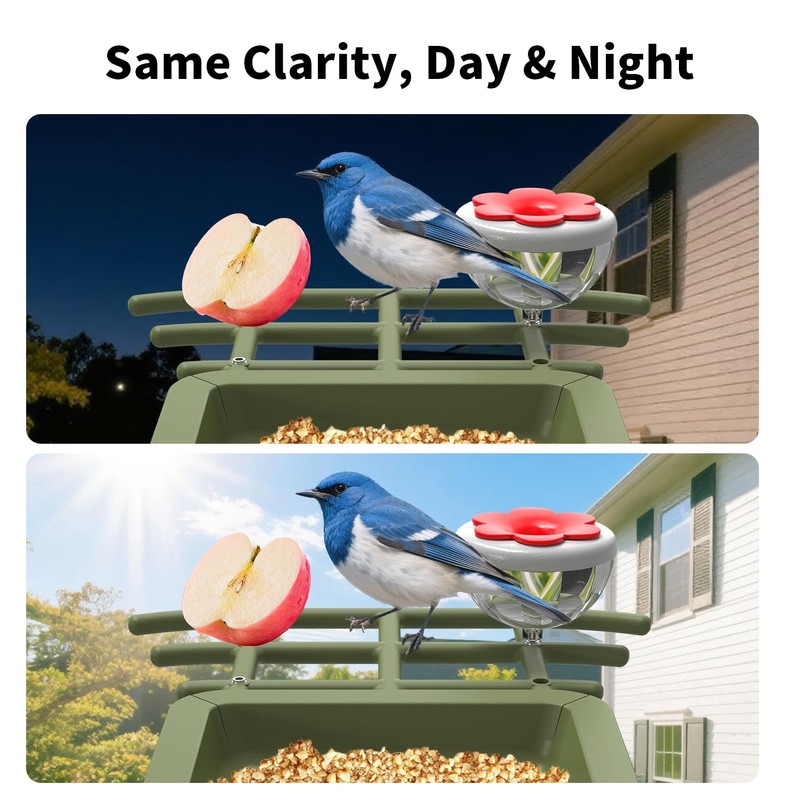 cbeyook Smart Bird Feeder Camera with AI Species Identifier |