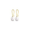 Amberta Allure Women's 9ct Gold Pearl Drop Earrings, Yellow Gold,
