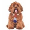 Rubie's Patriotic Pet, Tie, Medium-Large