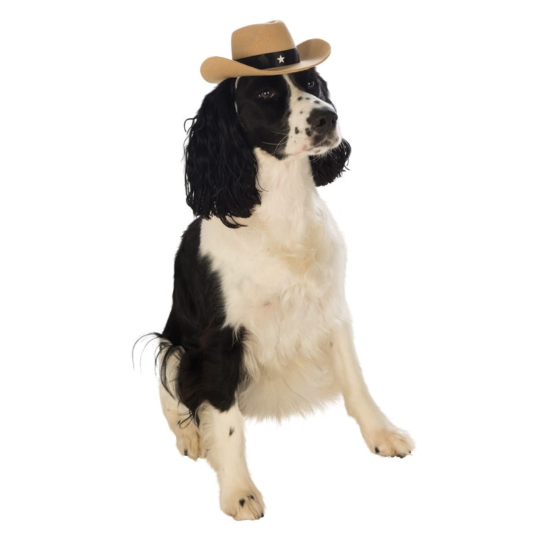 Rubies Cowboy Pet Hat for Dogs or Cats, S/M