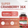 Herba Herba Cranberry Supplement 36x Extract | 28,800mg Per Day