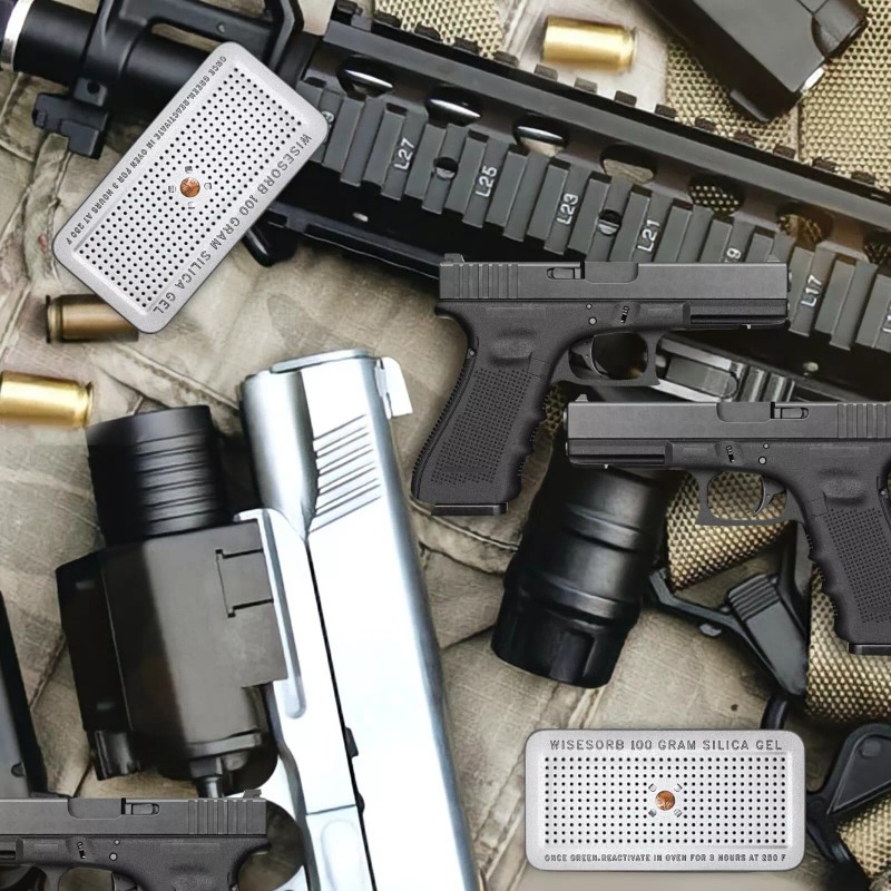 Wisesorb 100Gram Indicating Silica Gel Canister, Reusable Desiccant Dehumidifier, 2