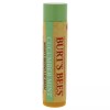 Burt's Bees Cucumber Mint Moisturizing Lip Balm Unisex 0.15 Oz