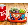 ENCHANTED TALAVERA Ceramic Succulent Pot Mini Flower Planter Cactus Bonsai