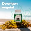 DHA OMEGA 3 ALGAE NatGel OMEGA 3 Vegetal - DHA