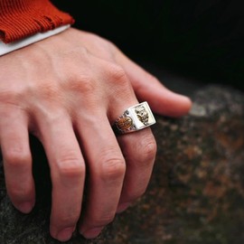 HETICA Feng Shui Pixiu Mantra Ring, Anillo Pixiu Feng Shui Ring for Men Women, Adjustable Wealth and Protection Good Luck Money Amulet, Buddhist Wide Surface Ring