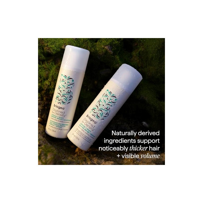 Briogeo Destined For Density Caffeine + Biotin Peptide Shampoo, Increases