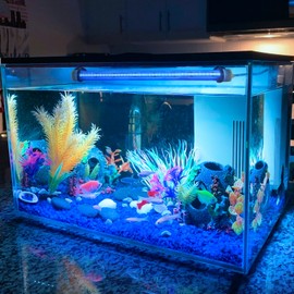 Aquarium Light LED RGB Remote Control: Waterproof Light Aquarium Lamp RGB COB Fish Tank LED Lighting with RF Remote Control 360° Remote Control up to 20 m Multicoloured Uniform Brightness (30 cm)