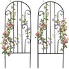 SCENDOR 2 Pack Arched Metal Garden Trellis for Climbing Plants