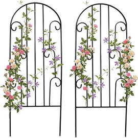 SCENDOR 2 Pack Arched Metal Garden Trellis for Climbing Plants 45" H x 15.9" W – Rustproof Iron Trellis with Decorative Scrollwork, Perfect for Roses, Clematis, Vines, and Patio Decor