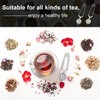 Tea Infuser 2 Pack,Premium Stainless Steel Tea Strainer with Handle,Snap