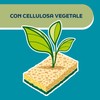ARIX Scratch Resistant Delicate Care, 2 Cellulose Sponges from the