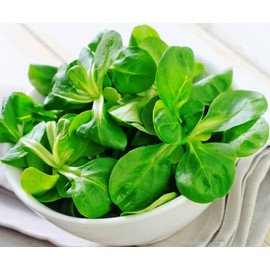 Seeds4planting - Seeds Corn Salad Lamb's Lettuce Heirloom Vegetable for Planting Non GMO