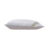 Betten Hofmann Pusta Pillow 40 x 60 cm Feather Pillow