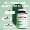 Rhodiola Rosea 180 Cápsulas, Adaptógeno para 3 Meses Nootropico Homodeus
