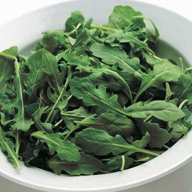 T & T Arugula Lettuce Seeds Pellets - Peppery & Sharp Flavor, Ideal for Gourmet Baby Greens, Thrives in Garden or Container, Easy to Grow (10 Pellets)