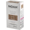 NOAH Permanent Hair Dye 8.0 Light Blonde – Ammonia-Free Hair