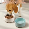Kitwinney Non Slip Dog Bowls, Heavy Ceramic Dog Food Bowl