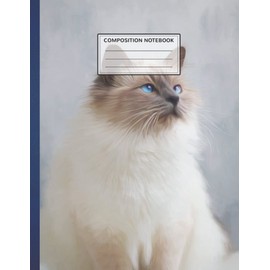 Composition Notebook: rainbow dj cat kitty Writing Journal Notebook With Lined Paper For Teens, Girls, Boys, And Students, Wide Journal, Cute School Supplies 8.5x11 inches, 110 Pages A64