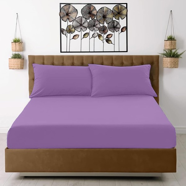 Egypto Pillow Cases 2 Pack – Standard Size Pillowcases with