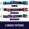 Leash Boss Martingale Collar for Dogs - Steel Chain |
