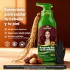 Herbishh - Champú colorante para cabello gris, champú con tinte