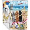 Doggie of the Day Poodle Dogs - Pet Friendly Beach