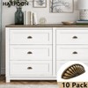 HARPOON 10 Pack Bin Cup Drawer Handle Pull Cabinet Hardware,Kitchen