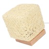 Rattan Table Lamp with LED Bulb USB Powered Decorative Hand