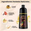 2 Pieza Marrn Oscuro Hair Dye Shampoo Con Tinte Cubre