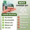 ESRICH Cedar Blocks for Clothes Storage,32 Pack with Metal Hooks,100%