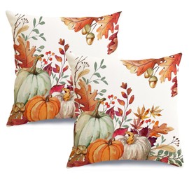 RABUSOFA Fall Pillow Covers 18x18 inch Set of 2 Orange White Pumpkin Fallen Leaves Decorative Throw Velvet Cushion Covers Autumn Thanksgiving Farmhouse Fall Decor for Couch Bed Soft