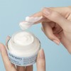 primera Alpine Berry Watery Cream 50mL - Main Item Only